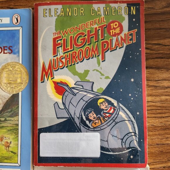 8 books book bundle Lot Set Young Readers Young Adult Poem Literature Novels Inc - Picture 7 of 14